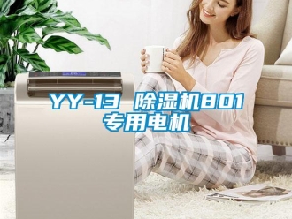 企业新闻YY-13 除湿机801专用电机