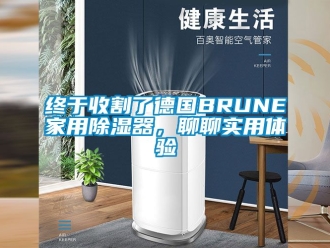 行业新闻终于收割了德国BRUNE家用除湿器，聊聊实用体验