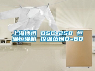 知识百科上海博迅 BSC-250 恒温恒湿箱 控温范围0~60℃