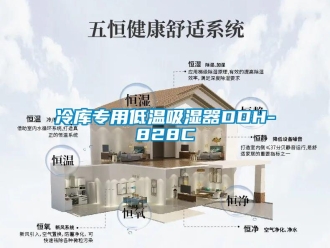 企业新闻冷库专用低温吸湿器DDH-828C