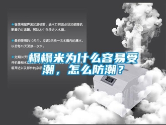 常见问题榻榻米为什么容易受潮，怎么防潮？