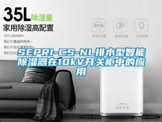 企业新闻SEPRI-CS-NL排水型智能除湿器在10kV开关柜中的应用