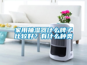 企业新闻家用抽湿器什么牌子比较好？有什么种类