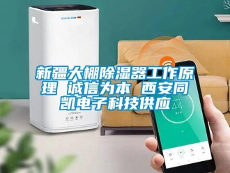 行业新闻新疆大棚除湿器工作原理 诚信为本 西安同凯电子科技供应