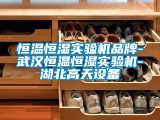 知识百科恒温恒湿实验机品牌-武汉恒温恒湿实验机-湖北高天设备