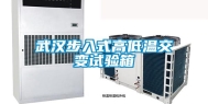 武汉步入式高低温交变试验箱