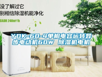 企业新闻YDK-60-4单相电容运转异步电动机60W 除湿机电机