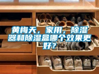 行业新闻黄梅天，家用，除湿器和除湿盒哪个效果更好？