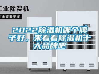 企业新闻2022除湿机哪个牌子好，来看看除湿机十大品牌吧