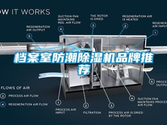 企业新闻档案室防潮除湿机品牌推荐