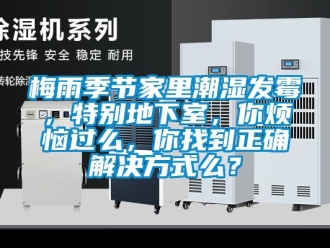 企业新闻梅雨季节家里潮湿发霉，特别地下室，你烦恼过么，你找到正确解决方式么？