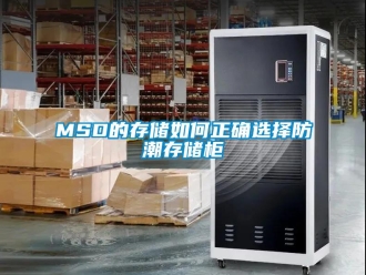 企业新闻MSD的存储如何正确选择防潮存储柜