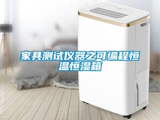 知识百科家具测试仪器之可编程恒温恒湿箱