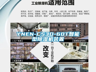 企业新闻YNEN-CS3D-60T智能型除湿机装置