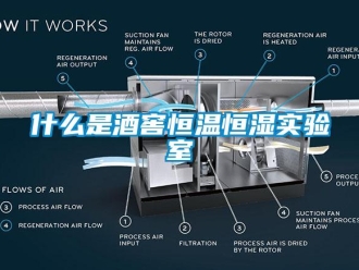 知识百科什么是酒窖恒温恒湿实验室