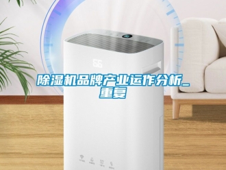 企业新闻除湿机品牌产业运作分析_重复