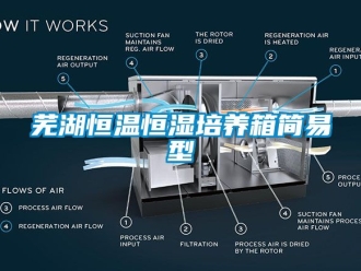 知识百科芜湖恒温恒湿培养箱简易型