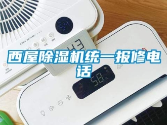 行业新闻西屋除湿机统一报修电话