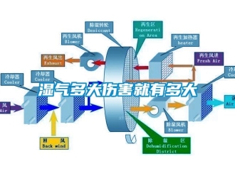 知识百科湿气多大伤害就有多大