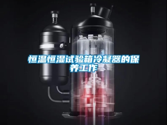 知识百科恒温恒湿试验箱冷凝器的保养工作