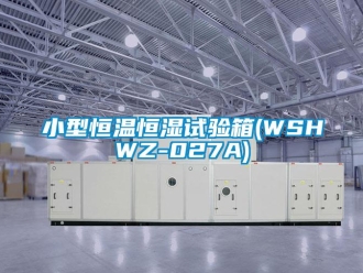 知识百科小型恒温恒湿试验箱(WSHWZ-027A)