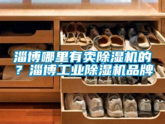 常见问题淄博哪里有卖除湿机的？淄博工业除湿机品牌