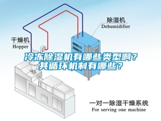 行业新闻冷冻除湿机有哪些类型啊？其循环机制有哪些？