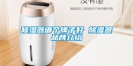 除湿器哪个牌子好 除湿器品牌介绍