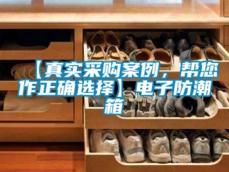 企业新闻【真实采购案例，帮您作正确选择】电子防潮箱