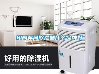 行业新闻印刷车间除湿器什么品牌好