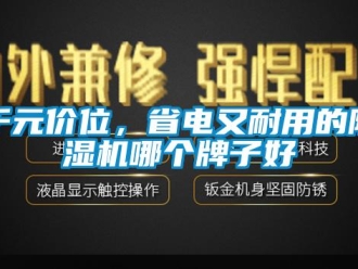 行业新闻千元价位，省电又耐用的除湿机哪个牌子好