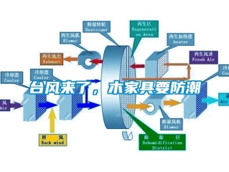 知识百科台风来了，木家具要防潮