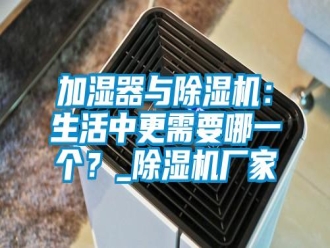 行业新闻加湿器与除湿机：生活中更需要哪一个？_除湿机厂家