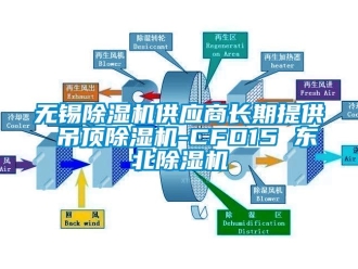 行业新闻无锡除湿机供应商长期提供 吊顶除湿机-CFD15 东北除湿机