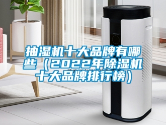 企业新闻抽湿机十大品牌有哪些（2022年除湿机十大品牌排行榜）