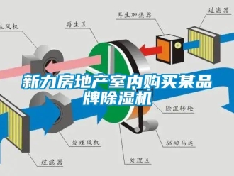 知识百科新力房地产室内购买某品牌除湿机