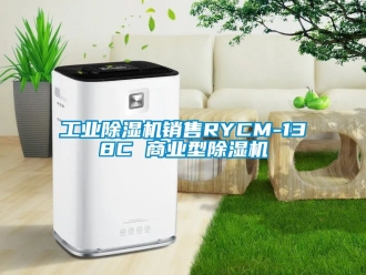 常见问题工业除湿机销售RYCM-138C 商业型除湿机