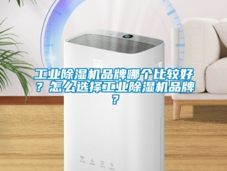 常见问题工业除湿机品牌哪个比较好？怎么选择工业除湿机品牌？