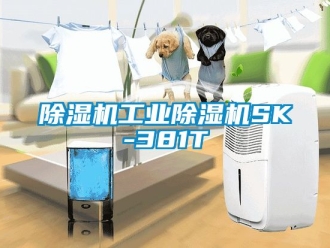 常见问题除湿机工业除湿机SK-381T