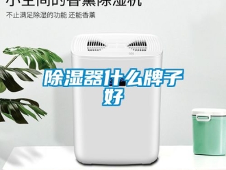 行业新闻除湿器什么牌子好