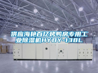 常见问题供应海艳百亿烤鸭房专用工业除湿机HYBY-138L