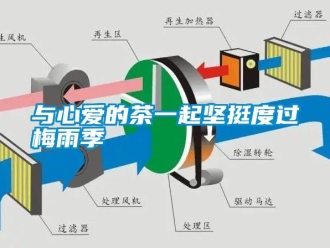 知识百科与心爱的茶一起坚挺度过梅雨季