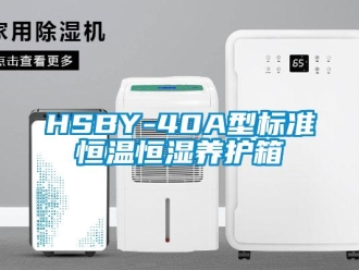 常见问题HSBY-40A型标准恒温恒湿养护箱