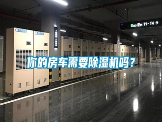 常见问题你的房车需要除湿机吗？