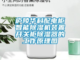 行业新闻庐陵华科配电柜智能除湿机装置开关柜除湿器的工作原理图