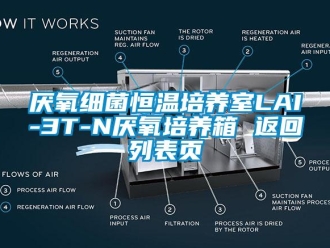 知识百科厌氧细菌恒温培养室LAI-3T-N厌氧培养箱 返回列表页