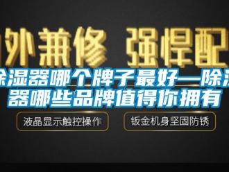 行业新闻除湿器哪个牌子最好—除湿器哪些品牌值得你拥有