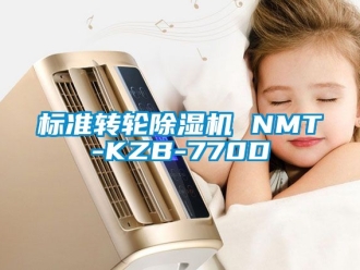 常见问题标准转轮除湿机 NMT-KZB-770D