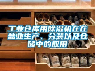 企业新闻工业仓库用除湿机在在盐业生产、分装以及仓储中的应用