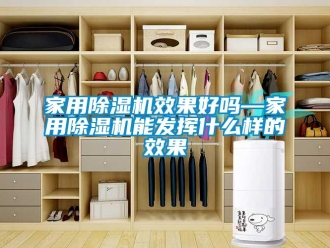 常见问题家用除湿机效果好吗—家用除湿机能发挥什么样的效果